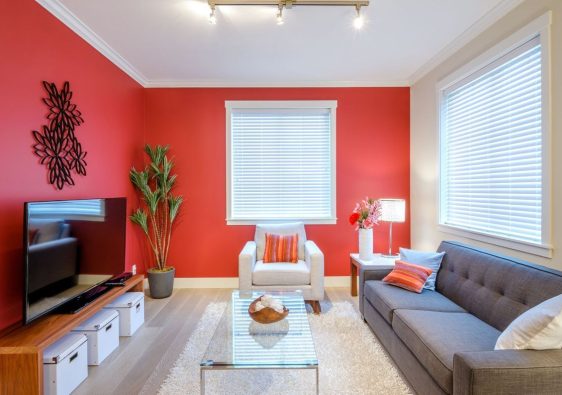 Homeowners’ Guide to Pest Control